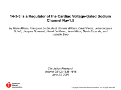 1538-1546 June 23, 2006