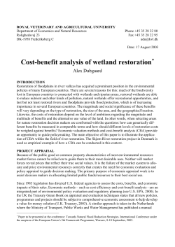 Cost-benefit analysis of wetland restoration