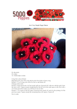 Jens Very Simple Crochet Poppy Pattern