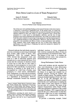 Does Stress Lead to a Loss of Team Perspective?