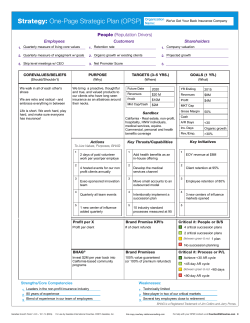 Strategy: One-Page Strategic Plan (OPSP) Organization