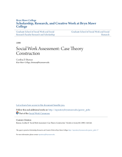 Social Work Assessment: Case Theory Construction
