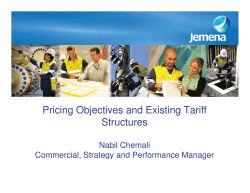 Pricing Objectives and Existing Tariff Structures