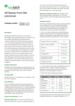 NZYSpeedy Proof DNA polymerase