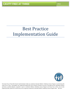 Best Practice Implementation Guide