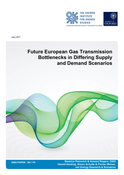 Future European Gas Transmission Bottlenecks in Differing Supply