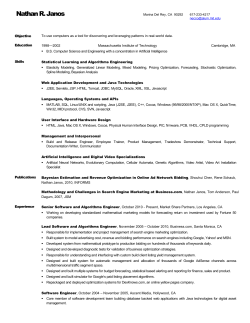 Professional Resume - zeitgeist cowboy manifesto