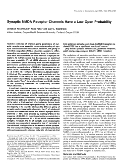 Synaptic NMDA Receptor Channels Have a Low Open Probability