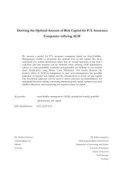 Deriving the Optimal Amount of Risk Capital for P/L Insurance