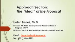 Session 3: A Proposal in Microcosm