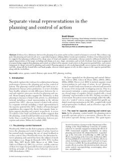 Separate visual representations in the planning and control of action