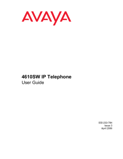 4610SW IP Telephone User Guide