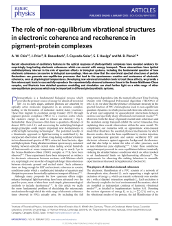 The role of non-equilibrium vibrational structures in electronic