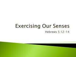 Exercising Our Senses - Knollwood Church Of Christ