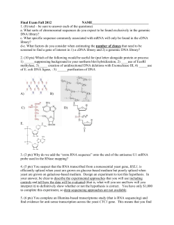 Old Final Exam