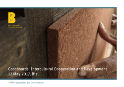 Cocoboards: Intercultural Cooperation and Development 12 May