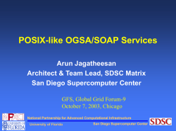 POSIX-like OGSA/SOAP Services - San Diego Supercomputer Center