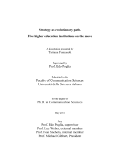 Strategy as evolutionary path. Five higher education