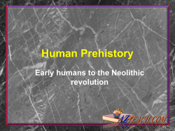 The Paleolithic Age
