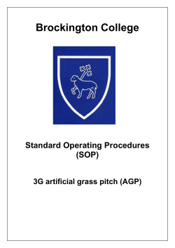(SOP) 3G artificial grass pitch (AGP)