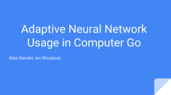 Adaptive Neural Network Usage in Computer Go