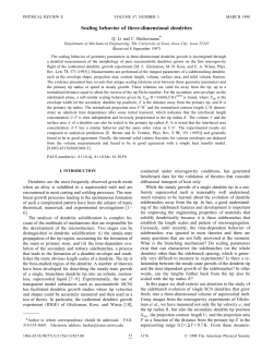 Scaling behavior of three-dimensional dendrites - User pages