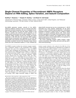 Single-Channel Properties of Recombinant