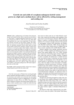 Growth rate and yields of a sorghum