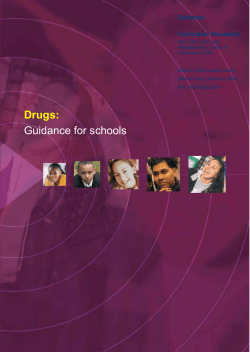 DfES Drugs Guidance for Schools - 2004