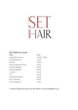 SET HAIR Price Guide