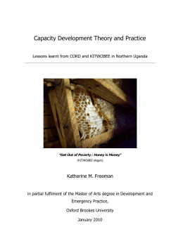 Capacity Development Theory and Practice