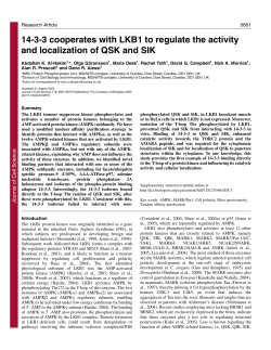 14-3-3 cooperates with LKB1 to regulate the activity and localization