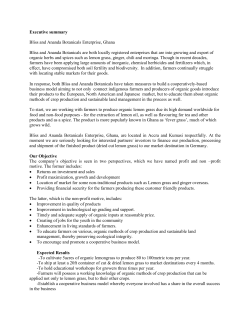 Executive summary