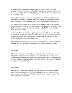 Mr. Dirk Stevens is a responsible rooster and the official leader of