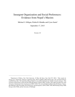Insurgent Organization and Social Preferences: Evidence from