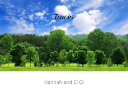 Traces - WordPress.com