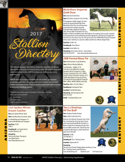 Stallion Directory - American Miniature Horse Association
