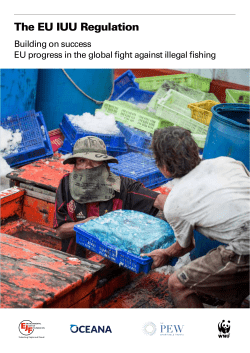 The EU IUU Regulation