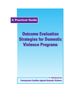 Outcome Evaluation Strategies for Domestic Violence Programs