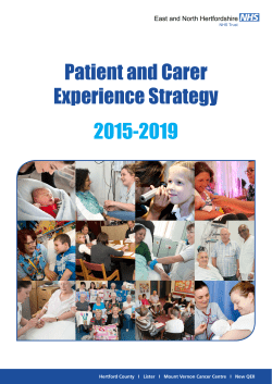 Patient and Carer Experience Strategy 2015-2019