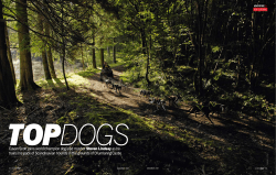 Cavan Scott joins world champion dog