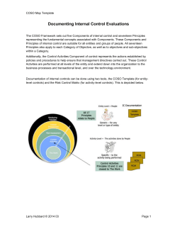 COSO Map in Word Format