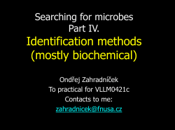 J04 &ndash; Biochemick&aacute; identifikace