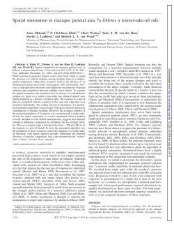 Spatial summation in macaque parietal area 7a follows a winner
