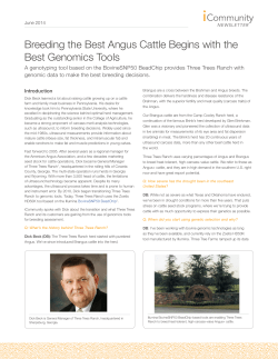 Breeding the Best Angus Cattle Begins with the Best