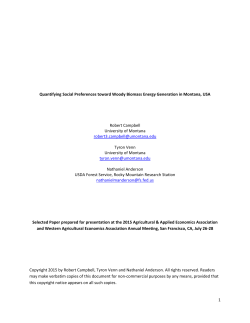 1 Quantifying Social Preferences toward Woody