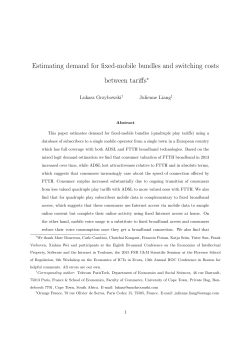 Estimating demand for fixed-mobile bundles and switching costs
