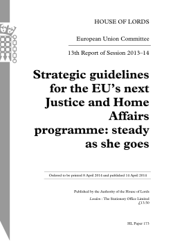 Strategic guidelines for the EU`s next Justice and Home Affairs