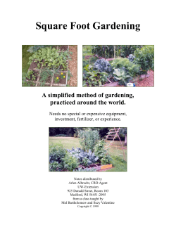 Square Foot Gardening