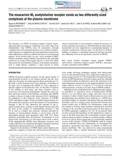 The muscarinic M3 acetylcholine receptor exists as two differently